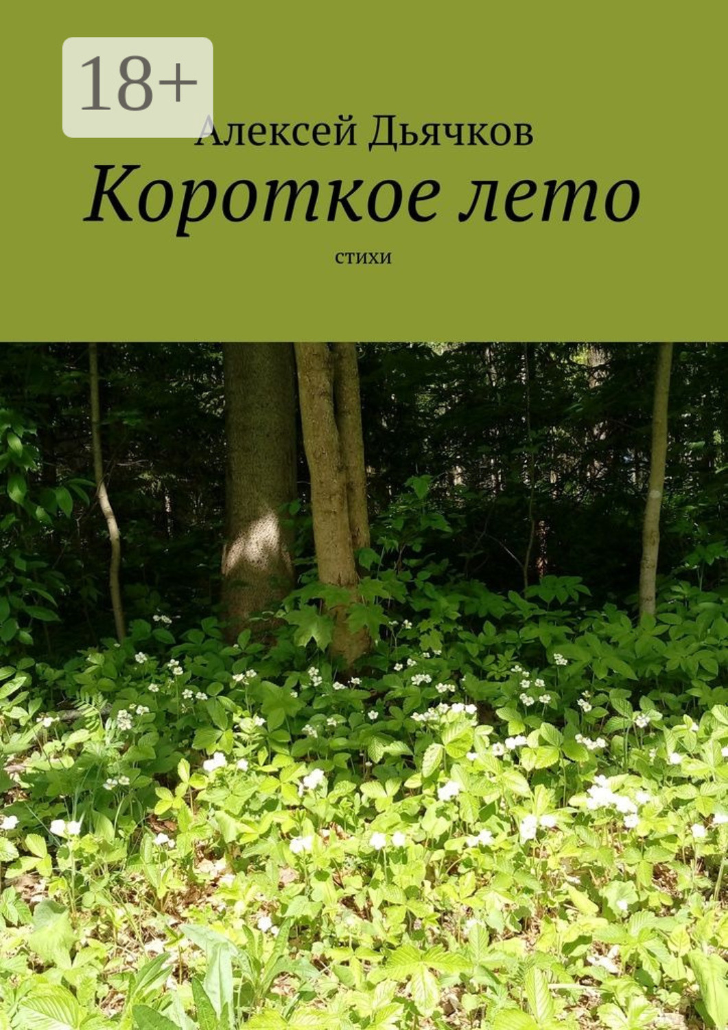 Обложка книги «Короткое лето. Стихи»