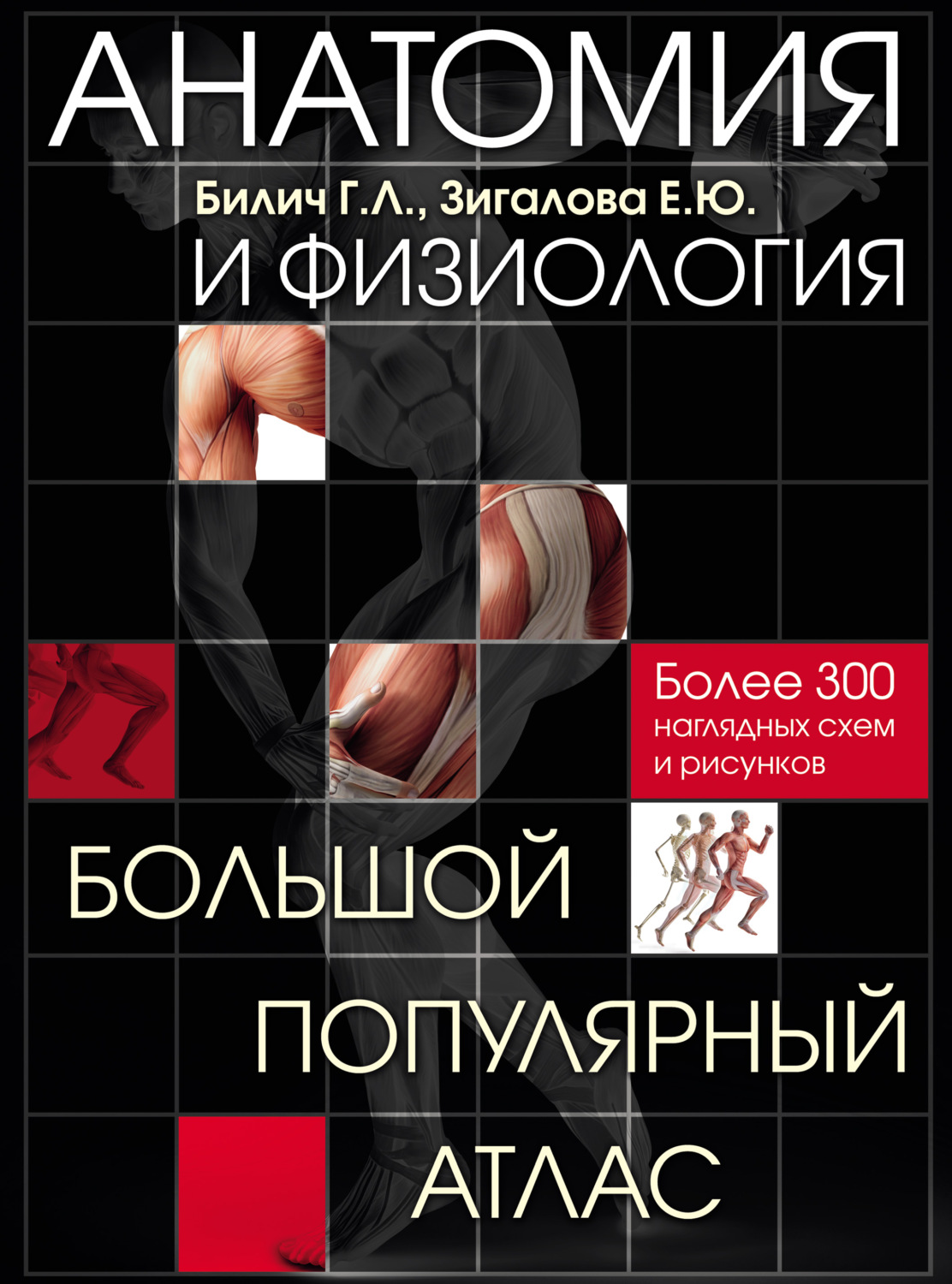 Обложка книги «Анатомия и физиология. Большой популярный атлас»
