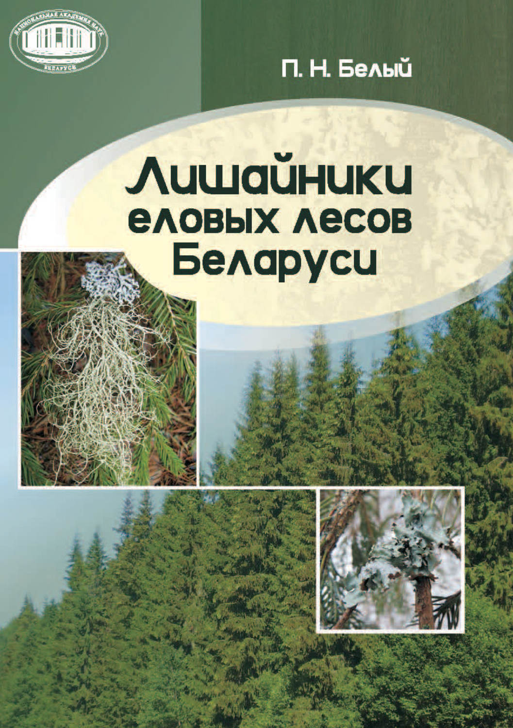 Обложка книги «Лишайники еловых лесов Беларуси»