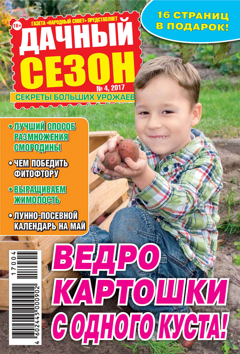 Обложка книги «Дачный сезон №04/2017»