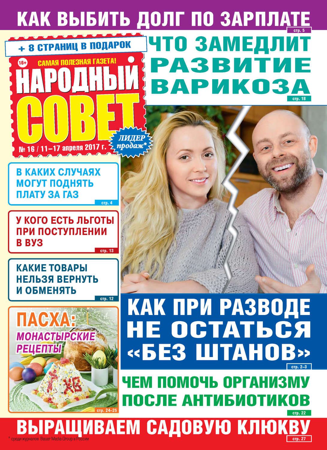 Обложка книги «Народный совет №16/2017»