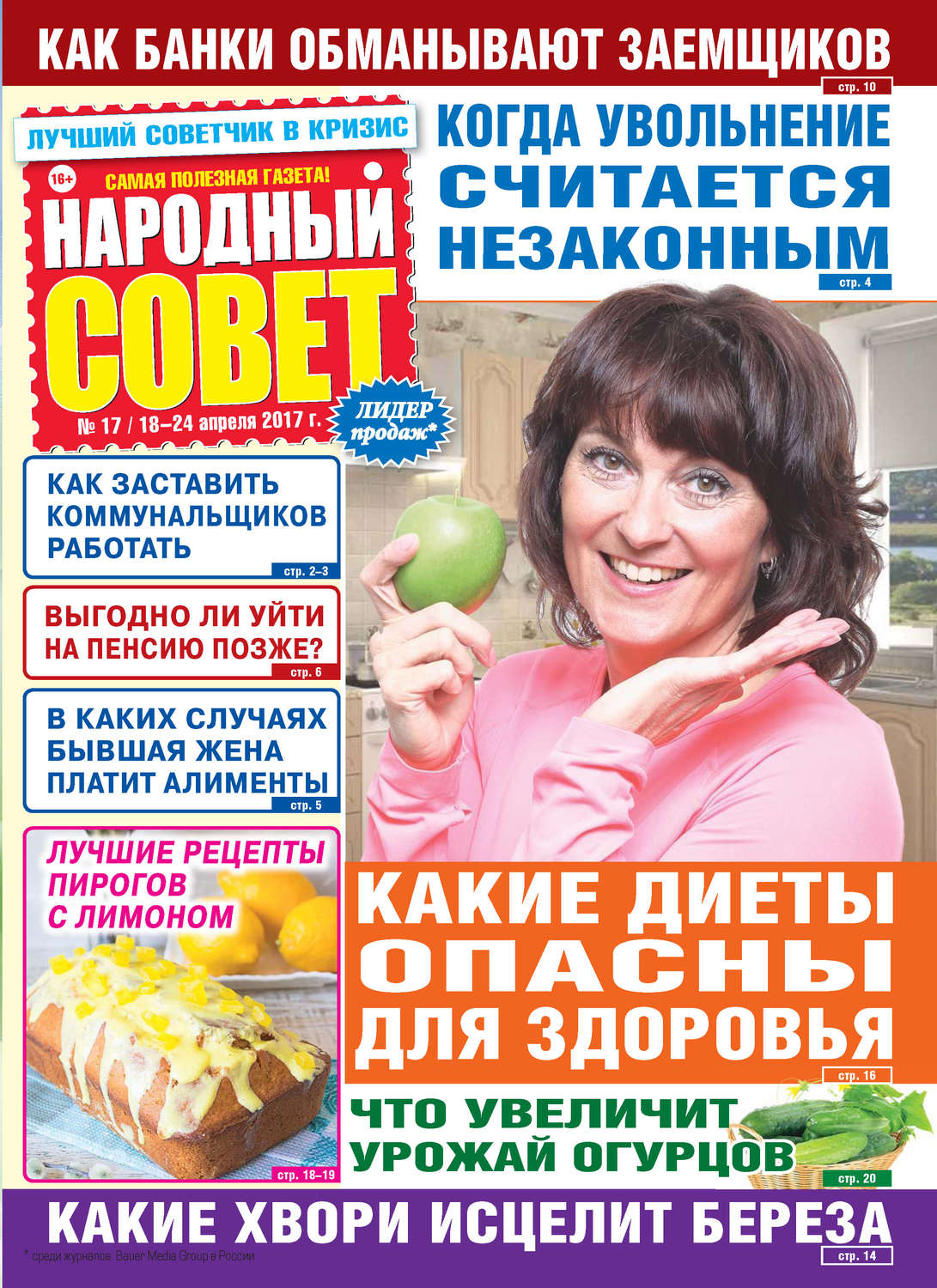 Обложка книги «Народный совет №17/2017»