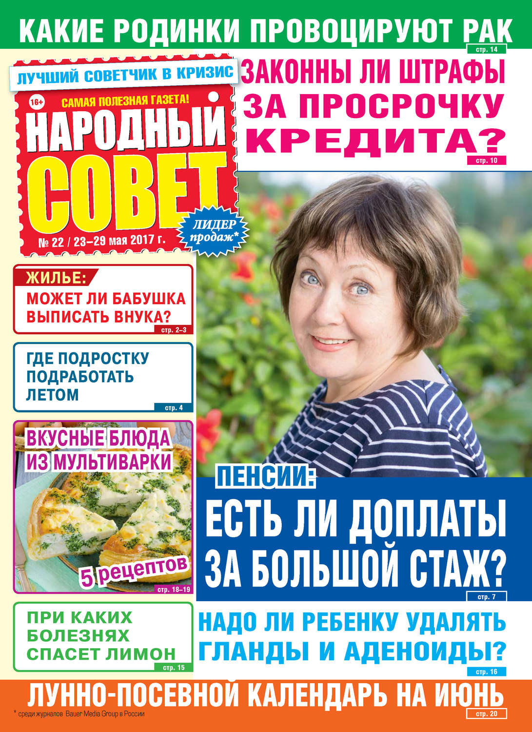 Обложка книги «Народный совет №22/2017»