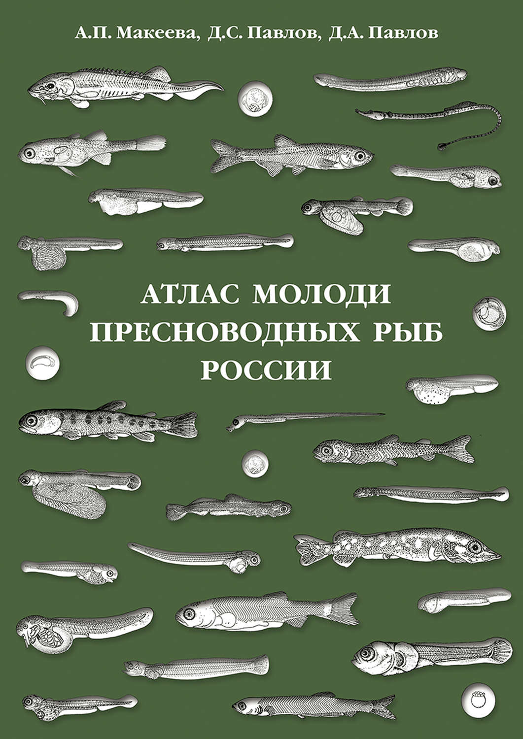Обложка книги «Атлас молоди пресноводных рыб России»