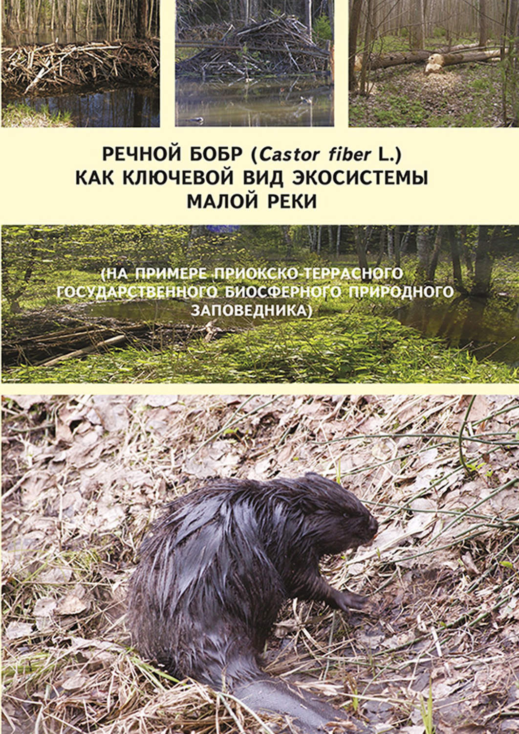 Обложка книги «Речной бобр (Castor fiber L.) как ключевой вид экосистемы малой реки (на примере Приокско-Террасного государственного биосферного природного заповедника)»
