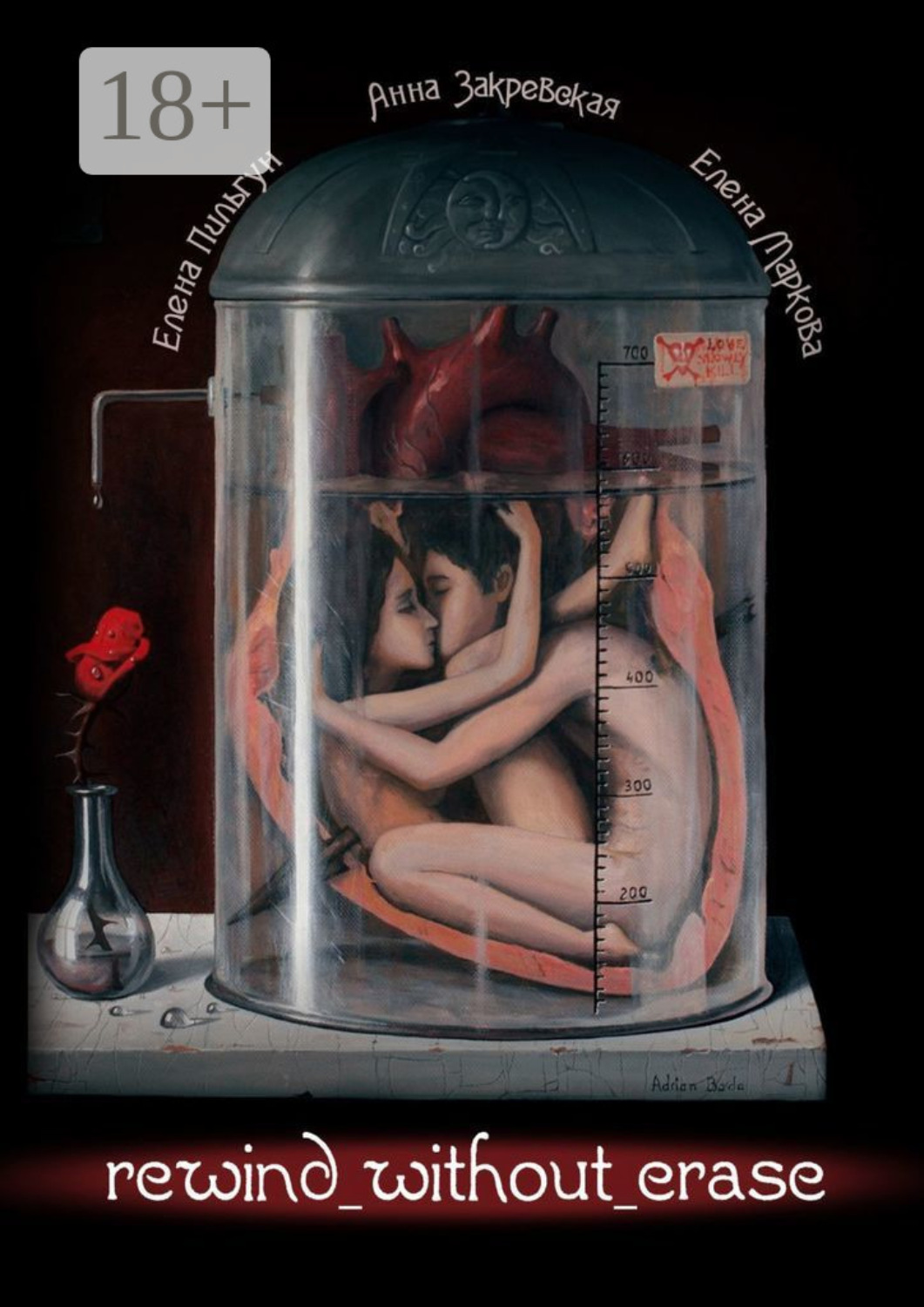 Обложка книги «Rewind without erase»