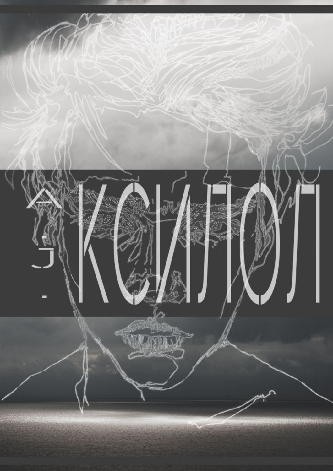 Обложка книги «КСИЛОЛ»