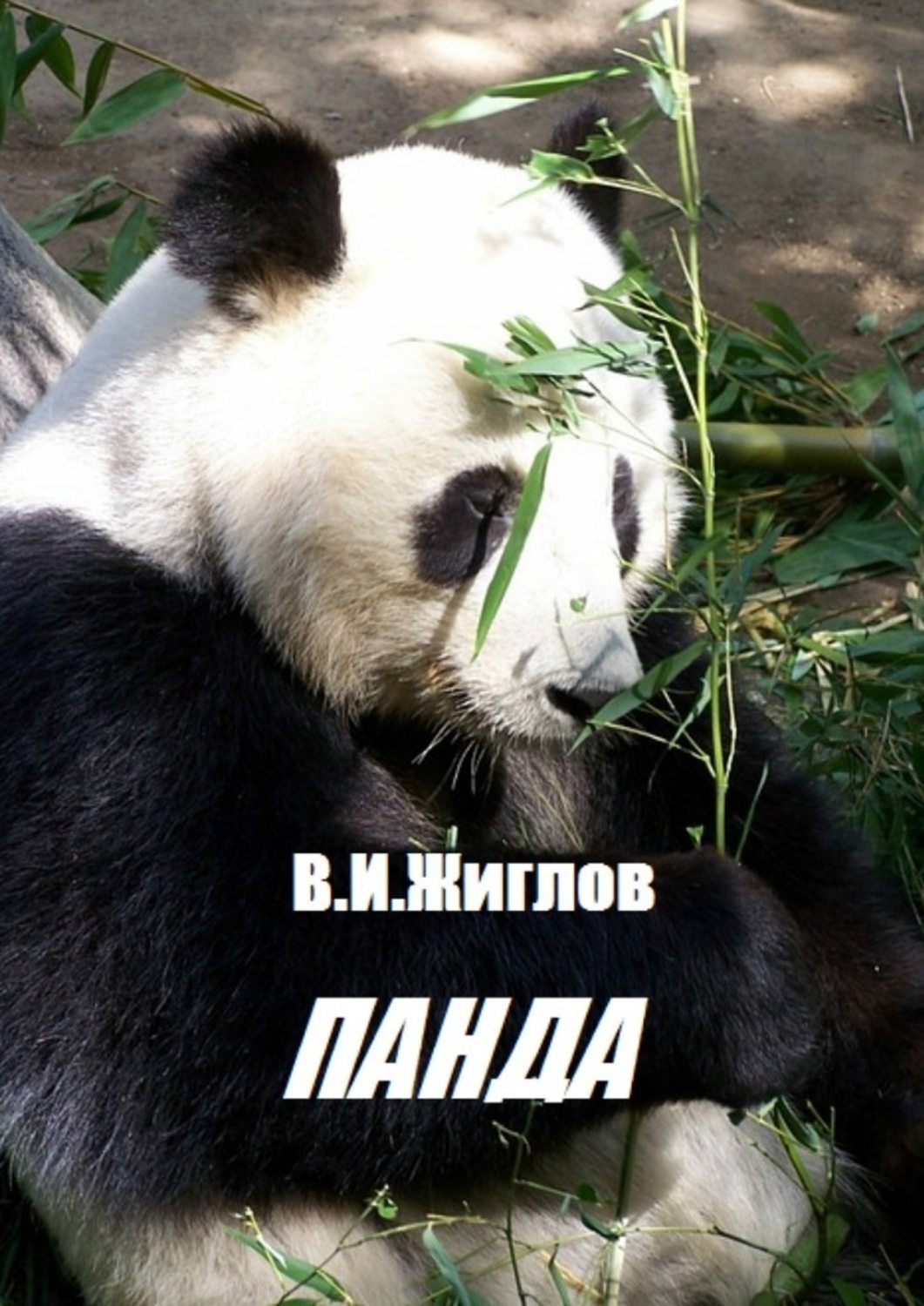 Обложка книги «Панда»
