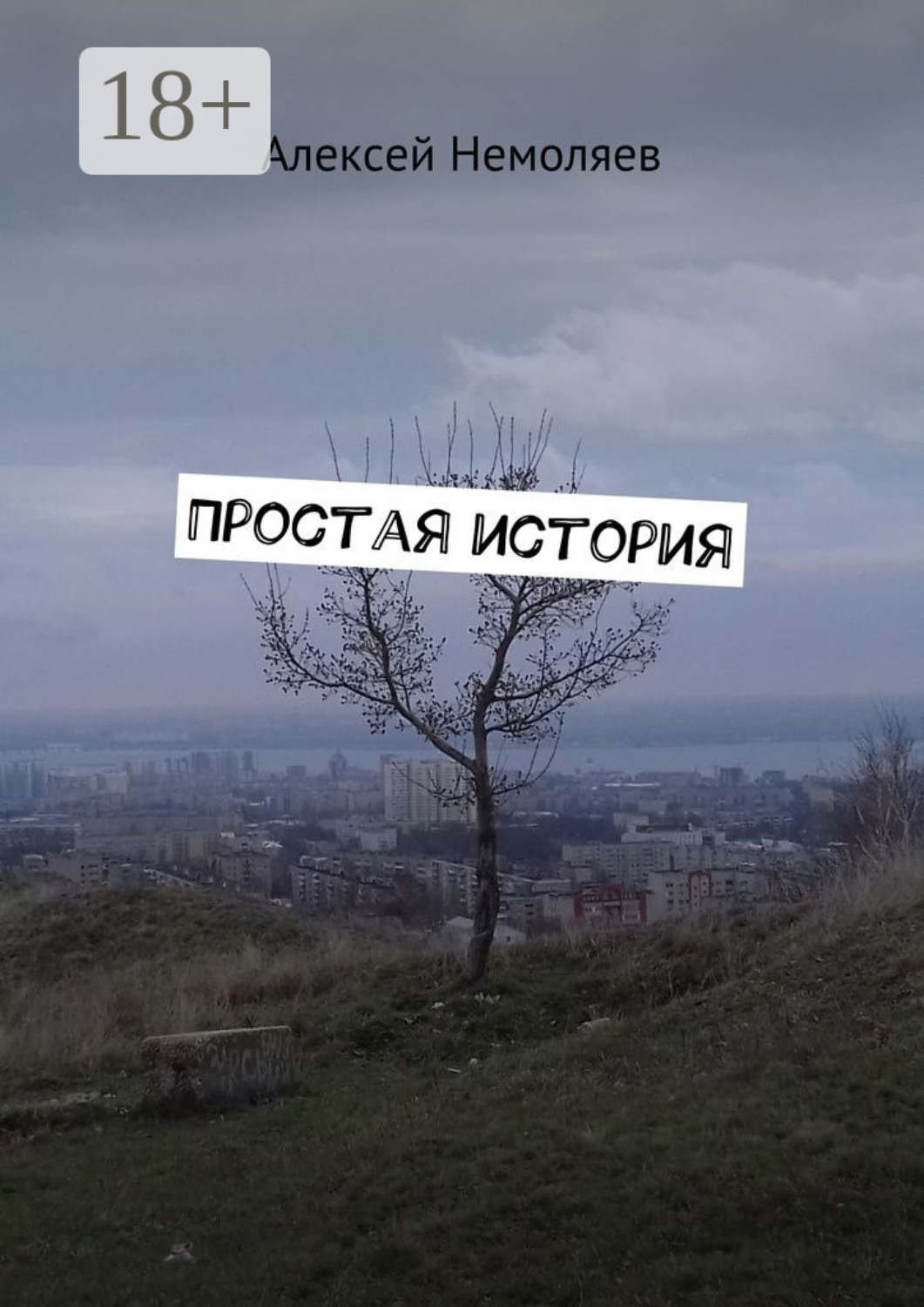 Обложка книги «Простая история»