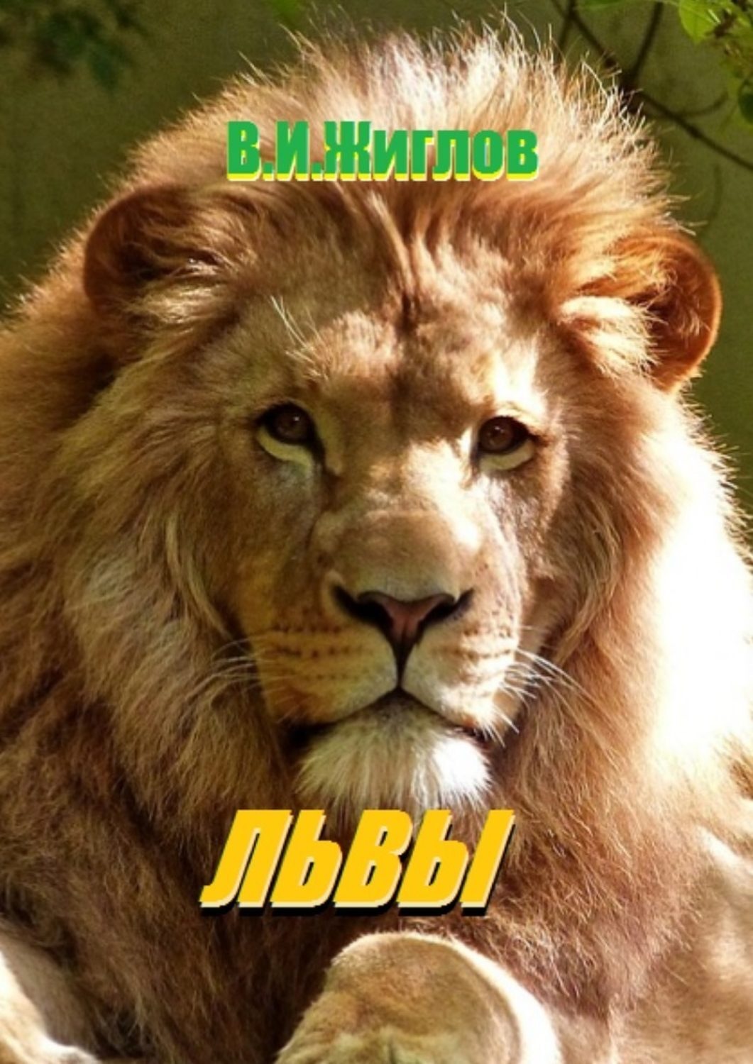 Обложка книги «Львы»