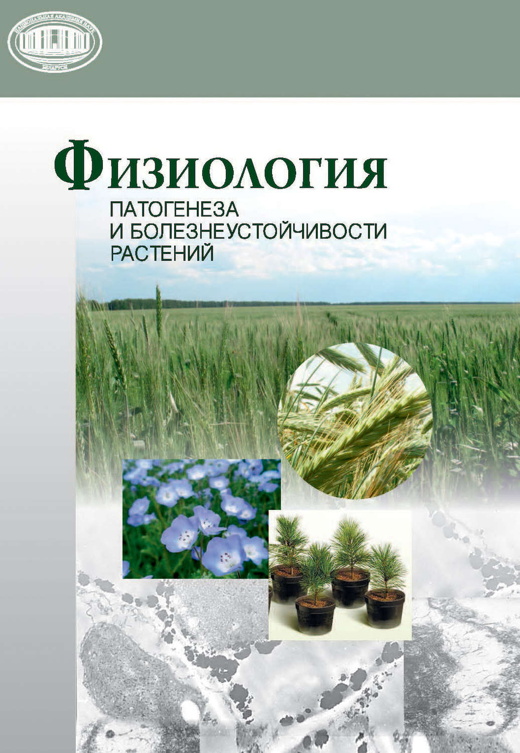 Обложка книги «Физиология патогенеза и болезнеустойчивости растений»