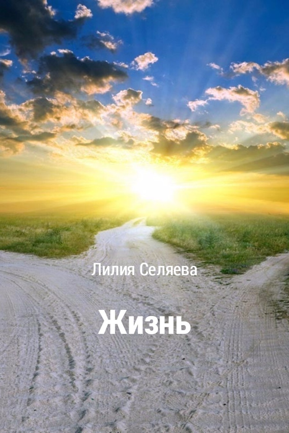Обложка книги «Жизнь»