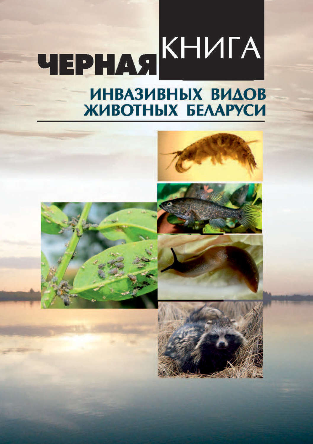 Обложка книги «Черная книга инвазивных видов животных Беларуси»