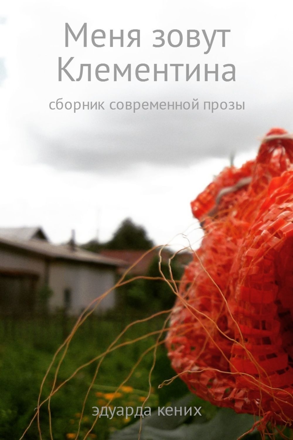 Обложка книги «Меня зовут Клементина»