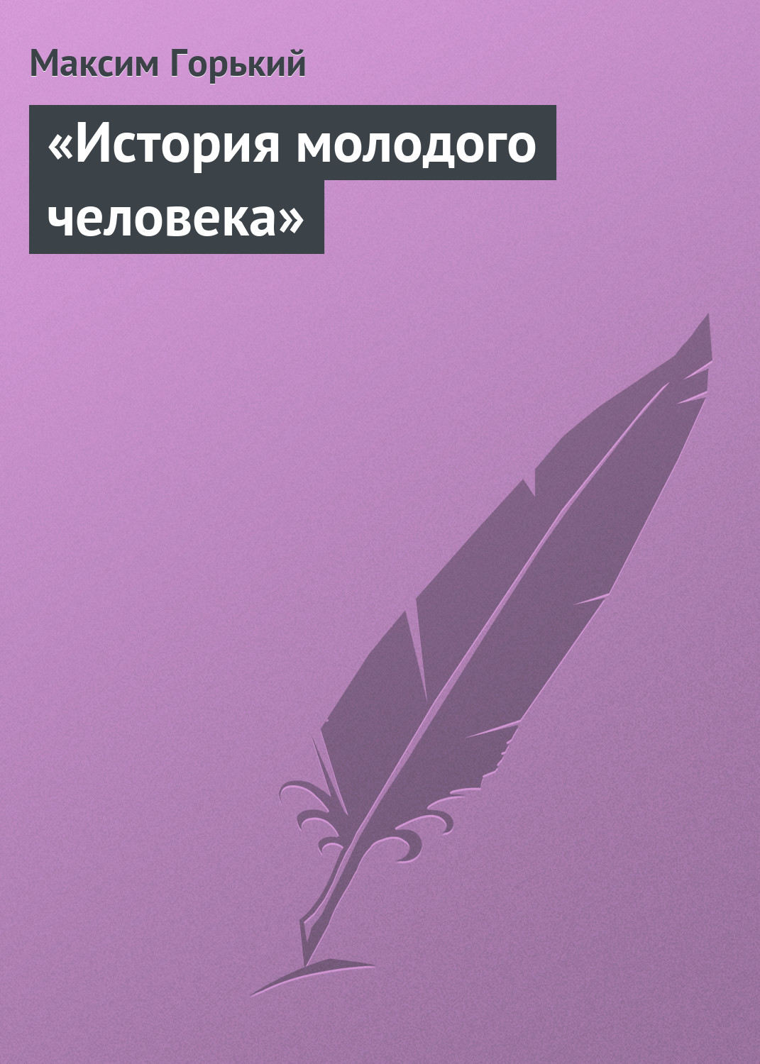 Обложка книги ««История молодого человека»»