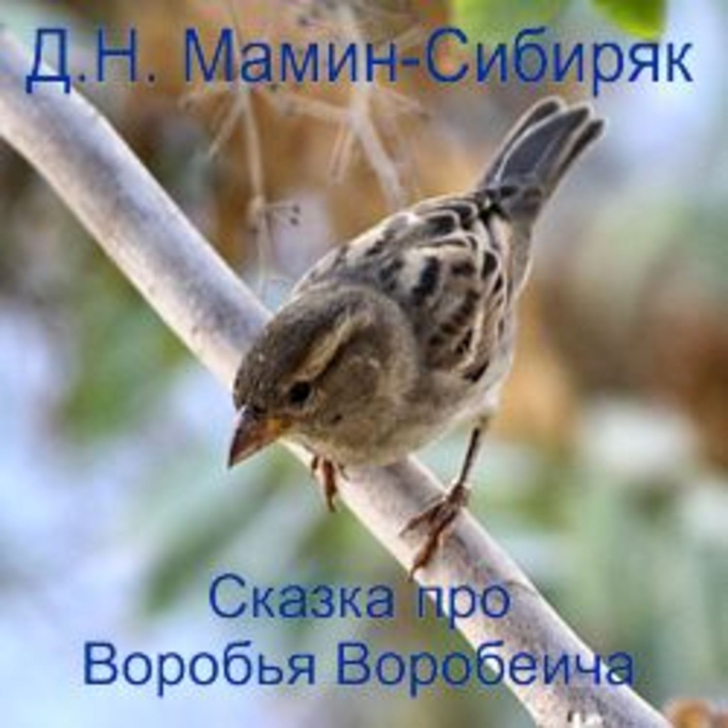 Обложка книги «Сказка про Воробья Воробеича, Ерша Ершовича и весёлого трубочиста Яшу»