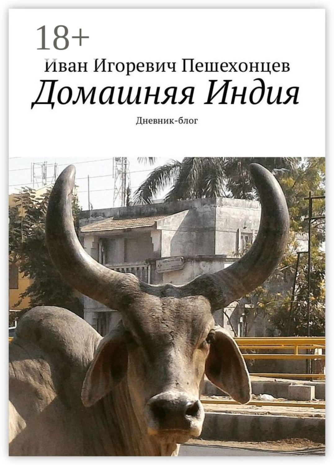 Обложка книги «Домашняя Индия. Дневник-блог»