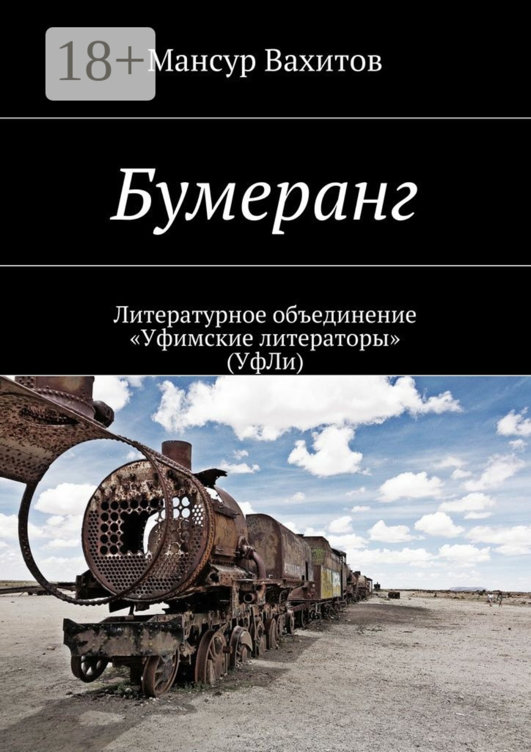 Обложка книги «Бумеранг»