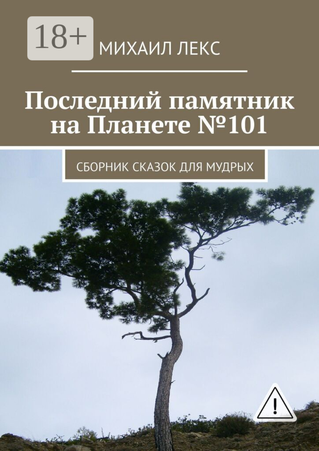Обложка книги «Последний памятник на Планете №101. Сборник сказок для мудрых»