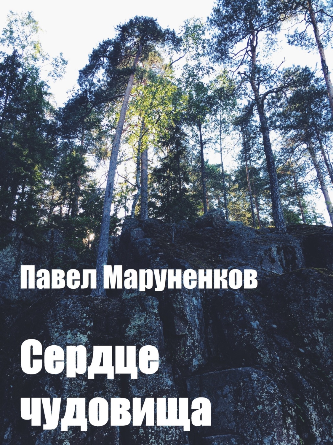 Обложка книги «Сердце чудовища»