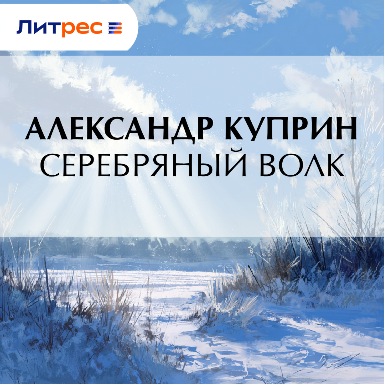 Обложка книги «Серебряный волк»
