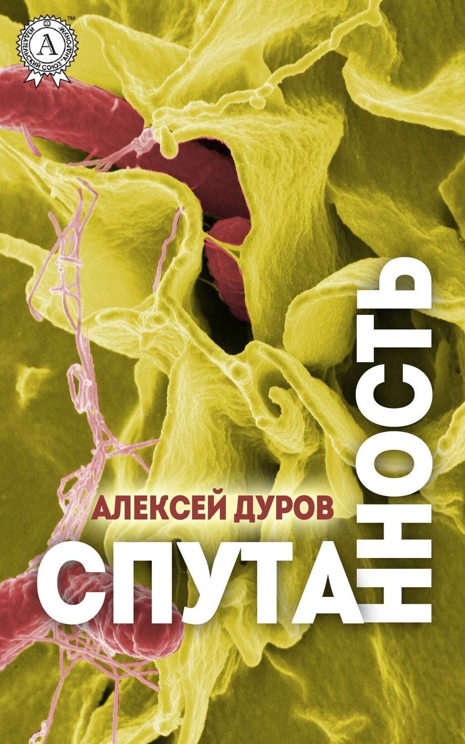 Обложка книги «Спутанность»