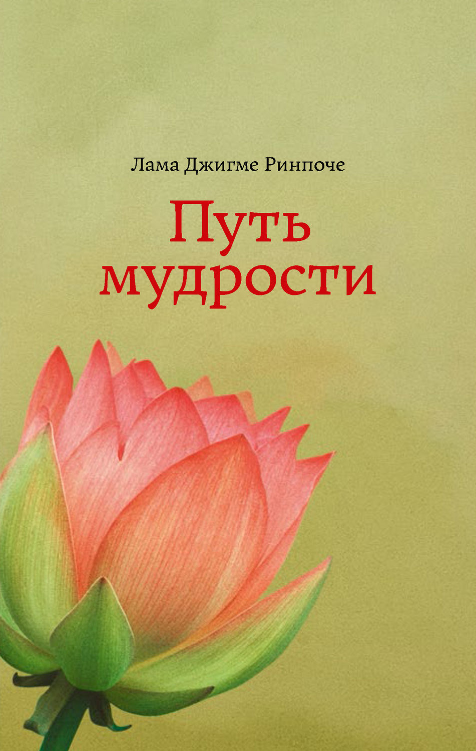 Обложка книги «Путь мудрости»