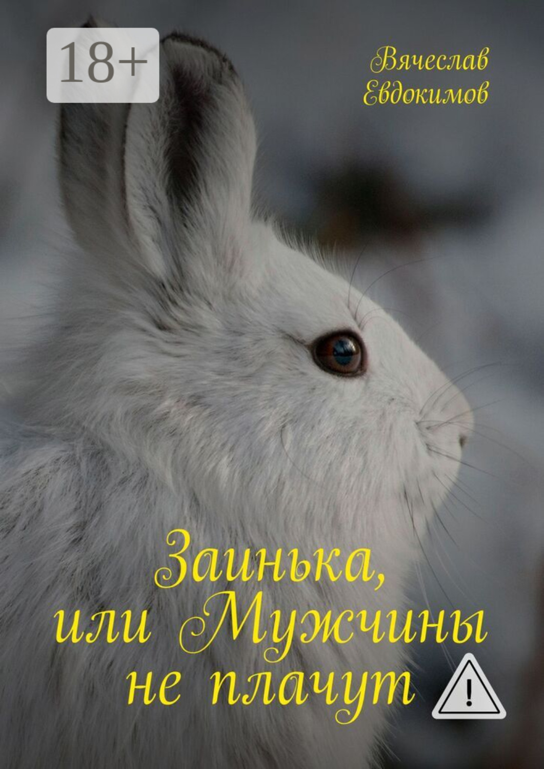 Обложка книги «Заинька, или Мужчины не плачут»