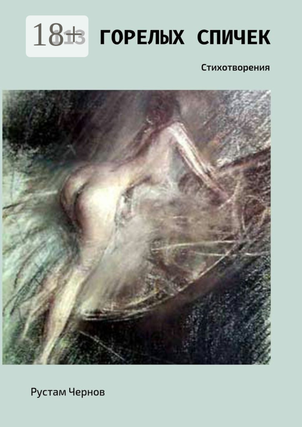 Обложка книги «113 горелых спичек. Стихотворения»