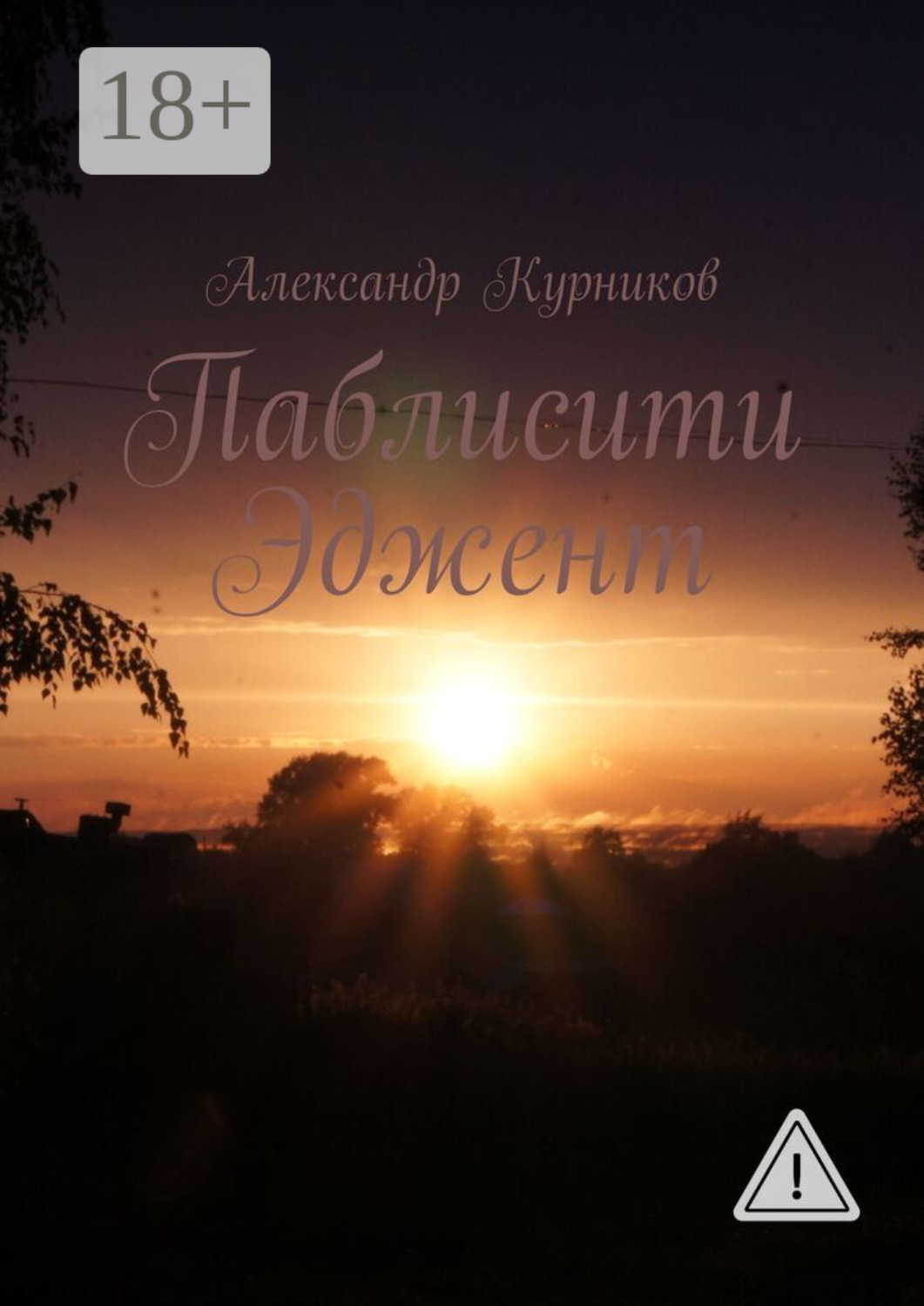 Обложка книги «Паблисити Эджент»