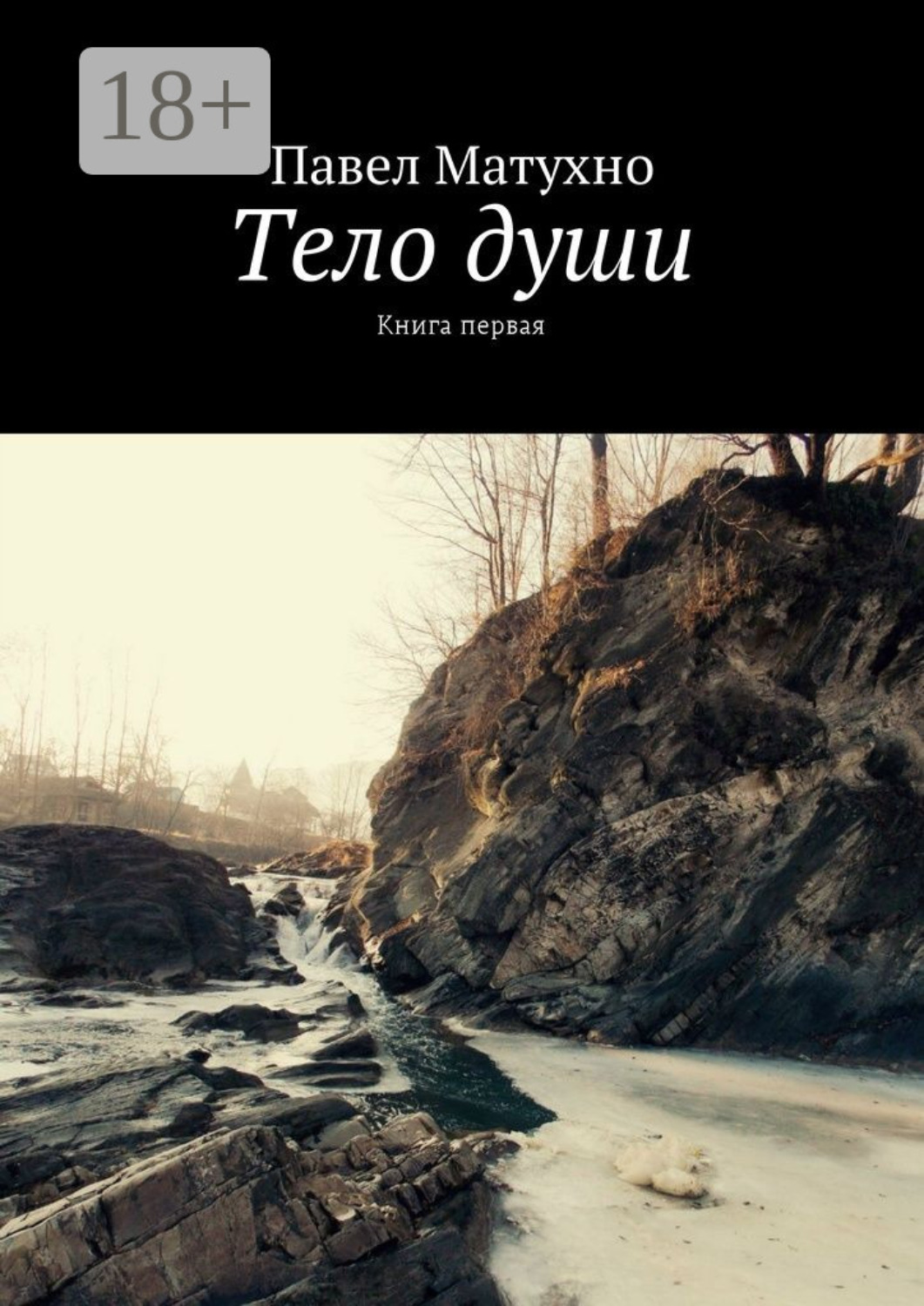 Обложка книги «Тело души. Книга первая»