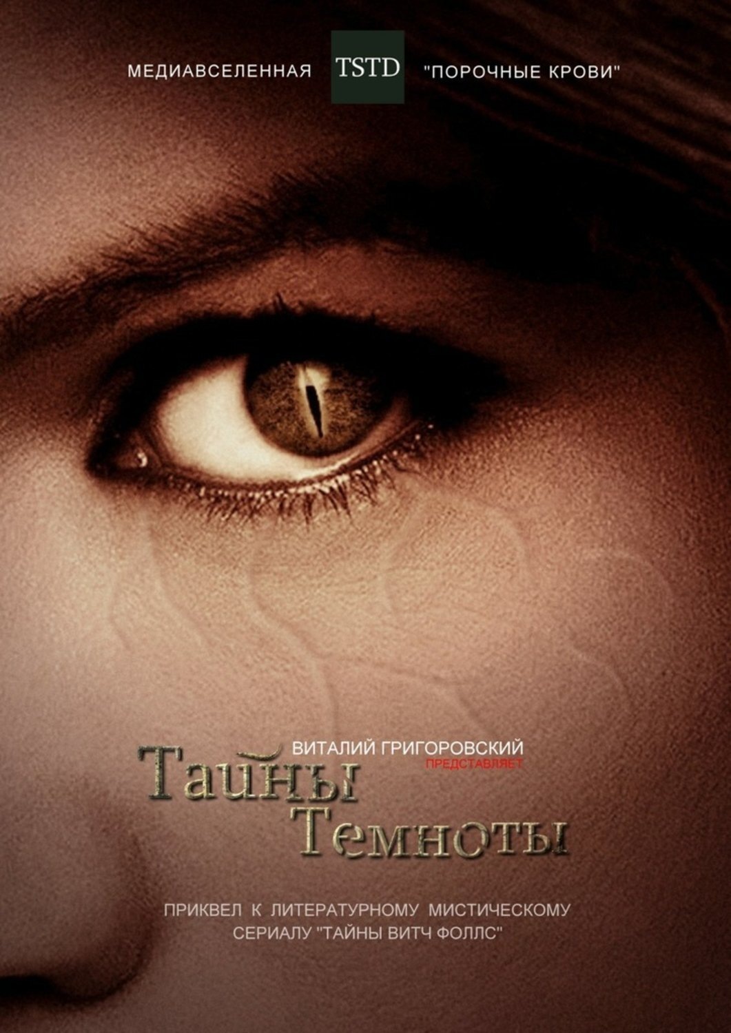 Обложка книги «Тайны Темноты. Приквел к литературному мистическому сериалу «Тайны Витч Фоллс»»