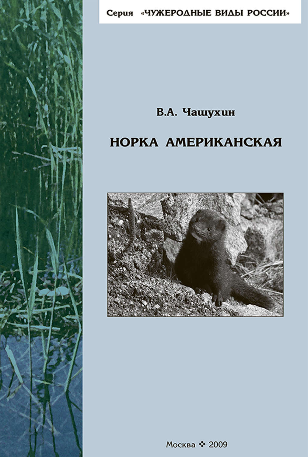 Обложка книги «Норка американская»