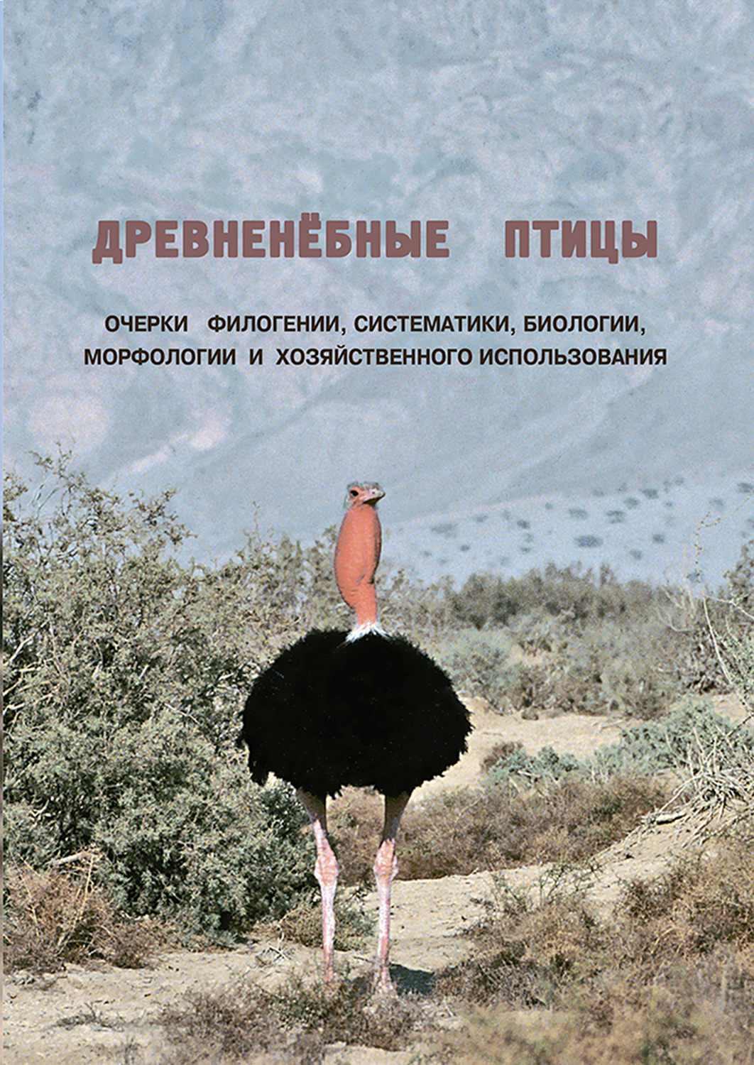 Обложка книги «Древненёбные птицы. Очерки филогении, систематики, биологии, морфологии и хозяйственного использования»