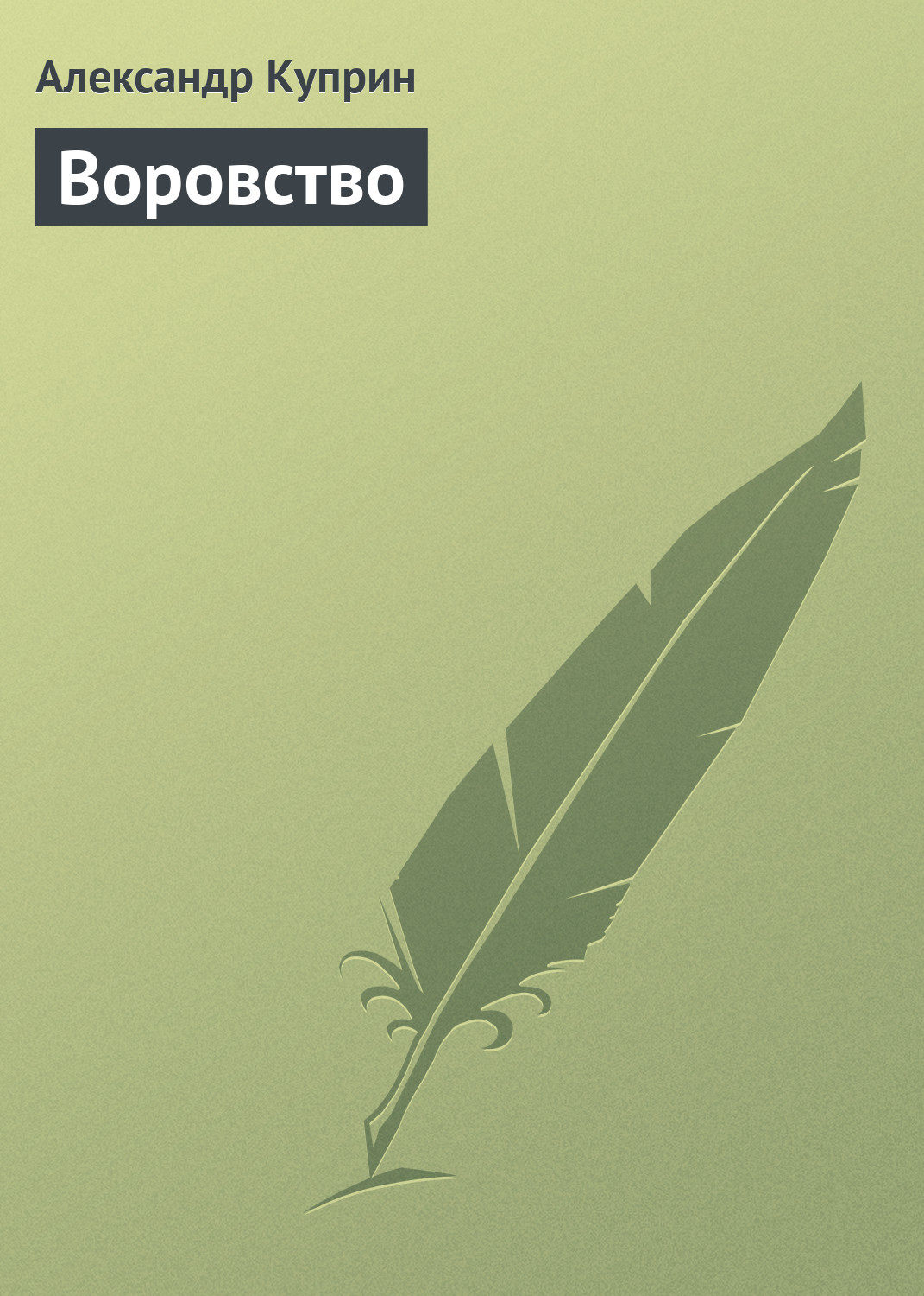 Обложка книги «Воровство»