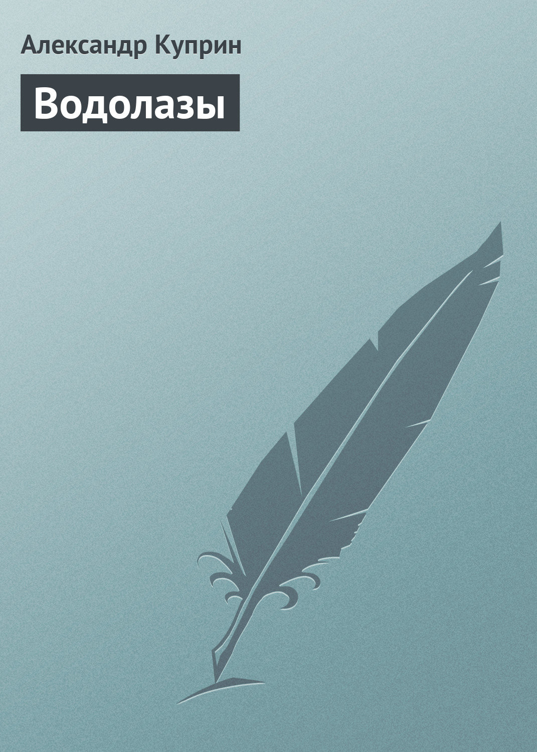 Обложка книги «Водолазы»