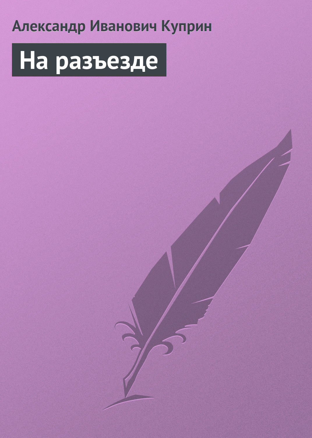 Обложка книги «На разъезде»