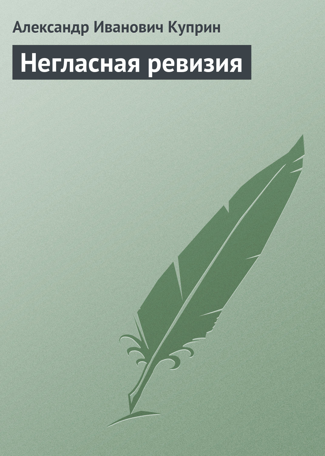 Обложка книги «Негласная ревизия»