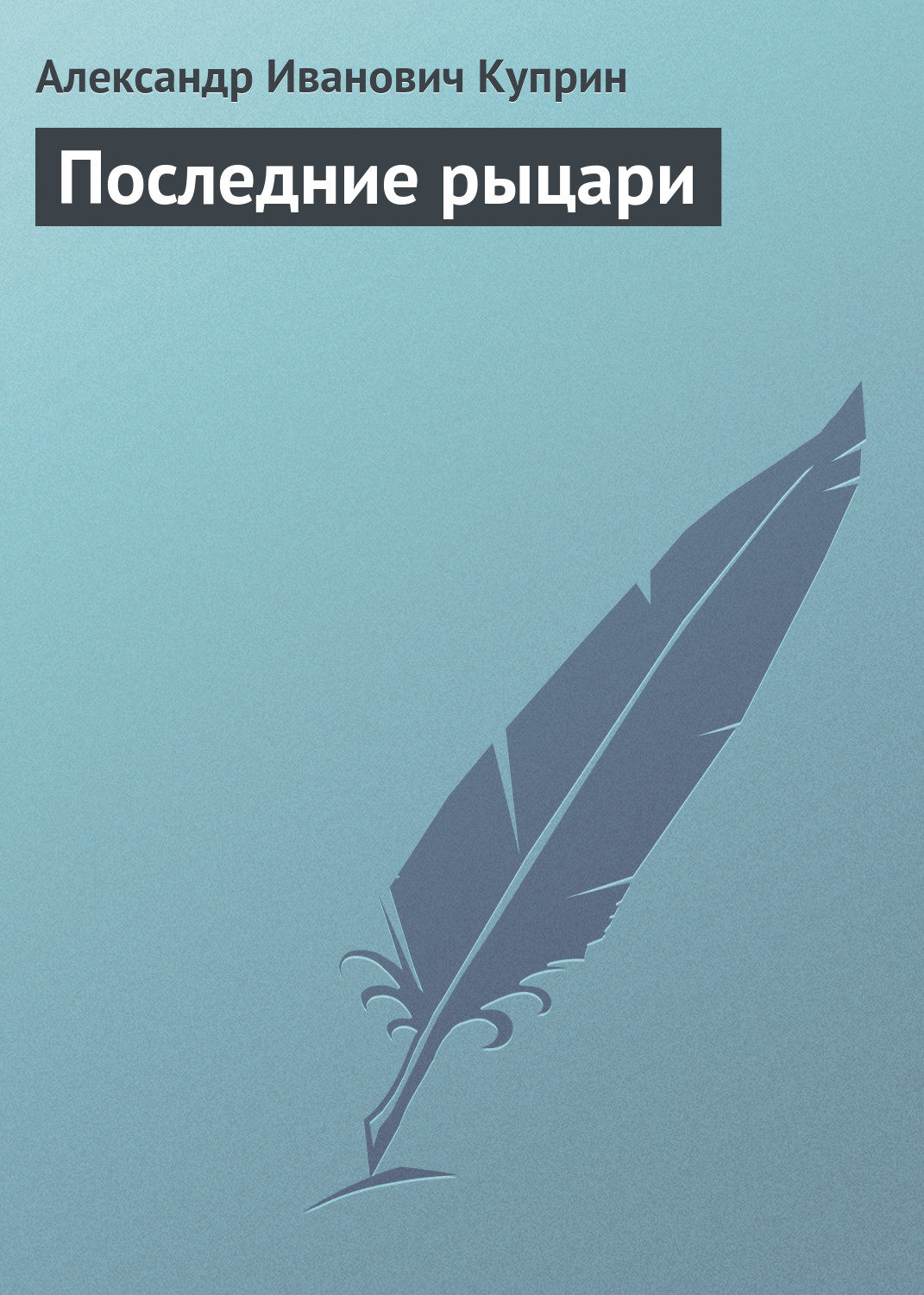 Обложка книги «Последние рыцари»
