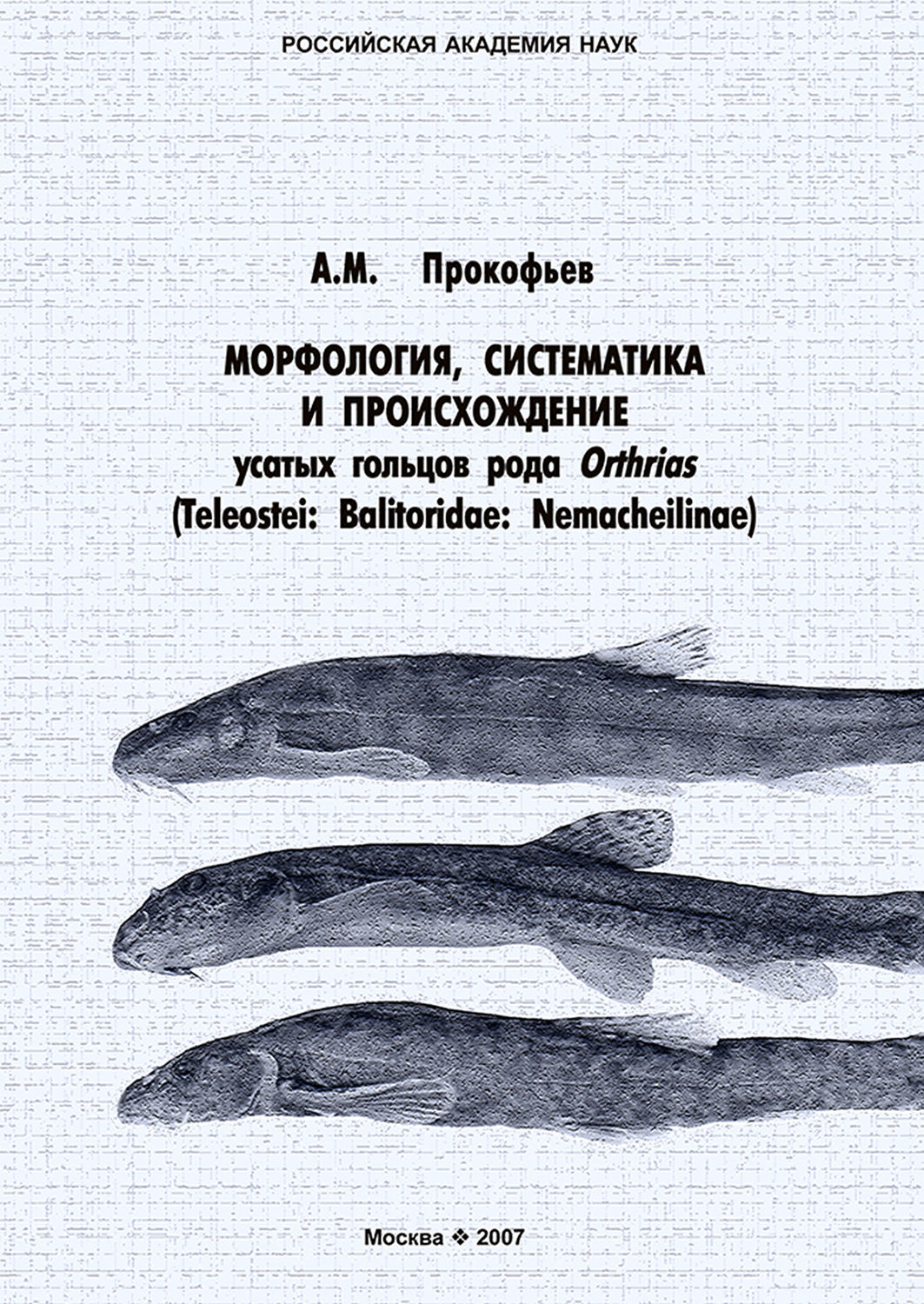 Обложка книги «Морфология, систематика и происхождение усатых гольцов рода Orthrias (Teleostei: Balitoridae: Nemacheilinae)»