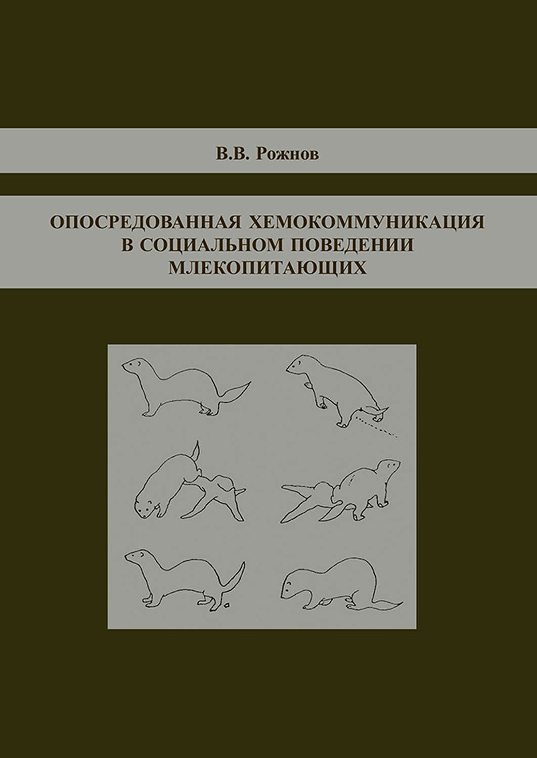 Обложка книги «Опосредованная хемокоммуникация в социальном поведении млекопитающих»