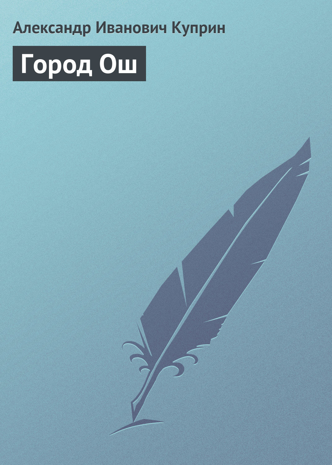 Обложка книги «Город Ош»
