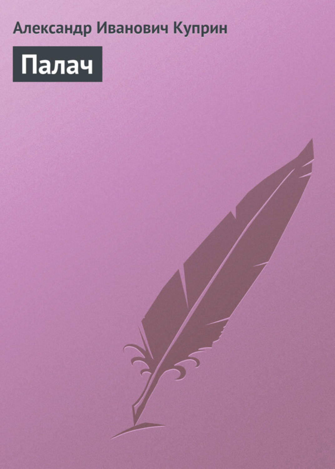 Обложка книги «Палач»