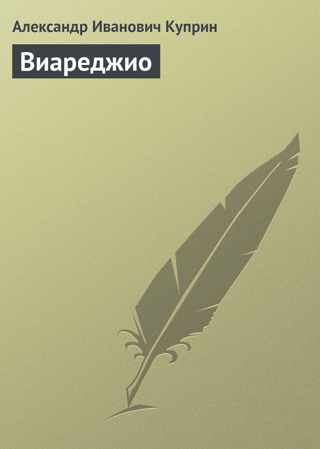 Обложка книги «Виареджио»