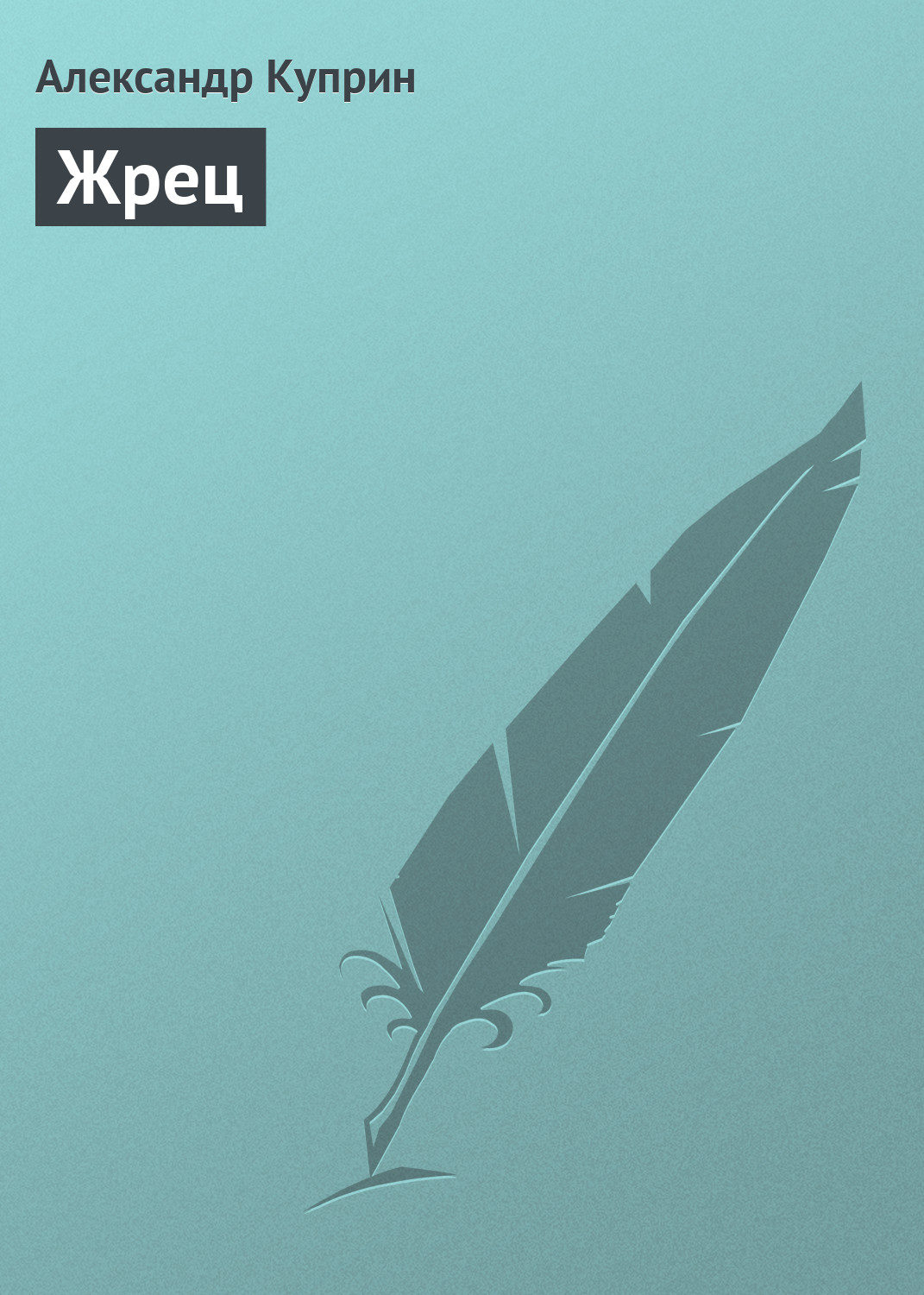 Обложка книги «Жрец»