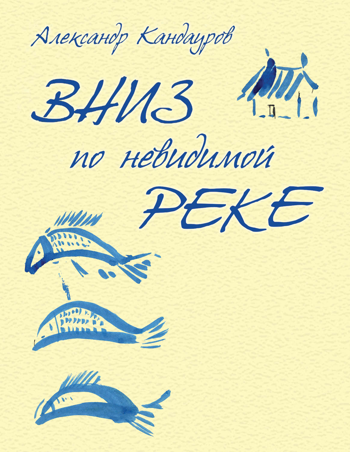 Обложка книги «Вниз по невидимой реке»