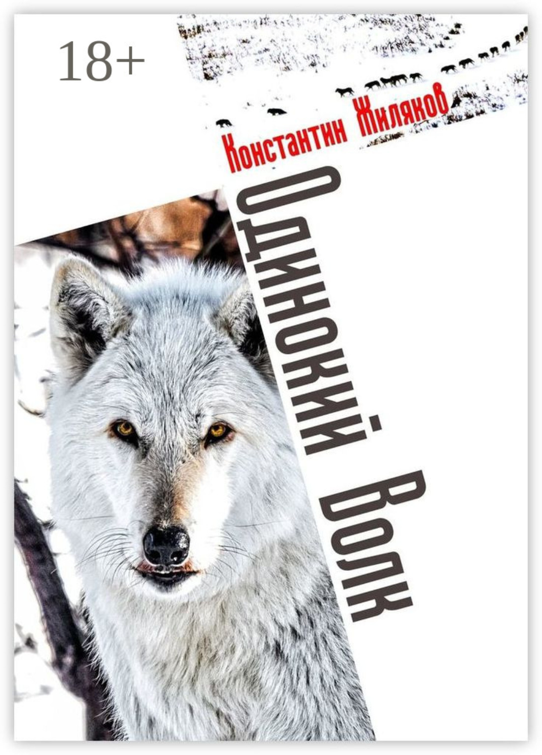 Обложка книги «Одинокий Волк. Авторский сборник»