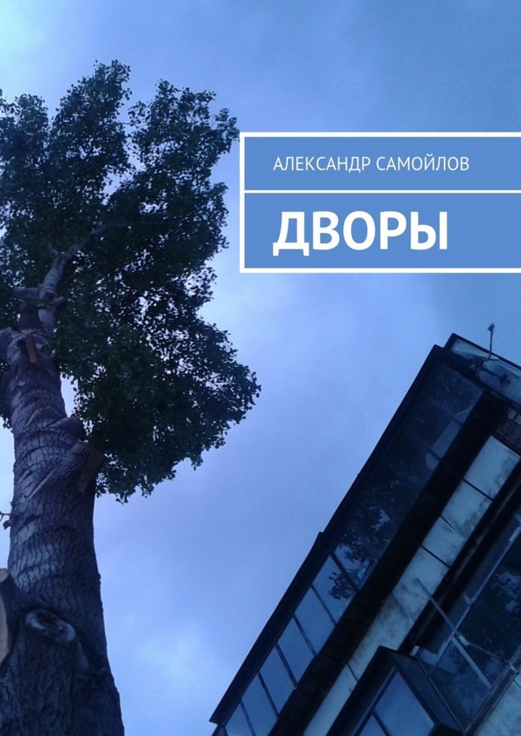 Обложка книги «Дворы»