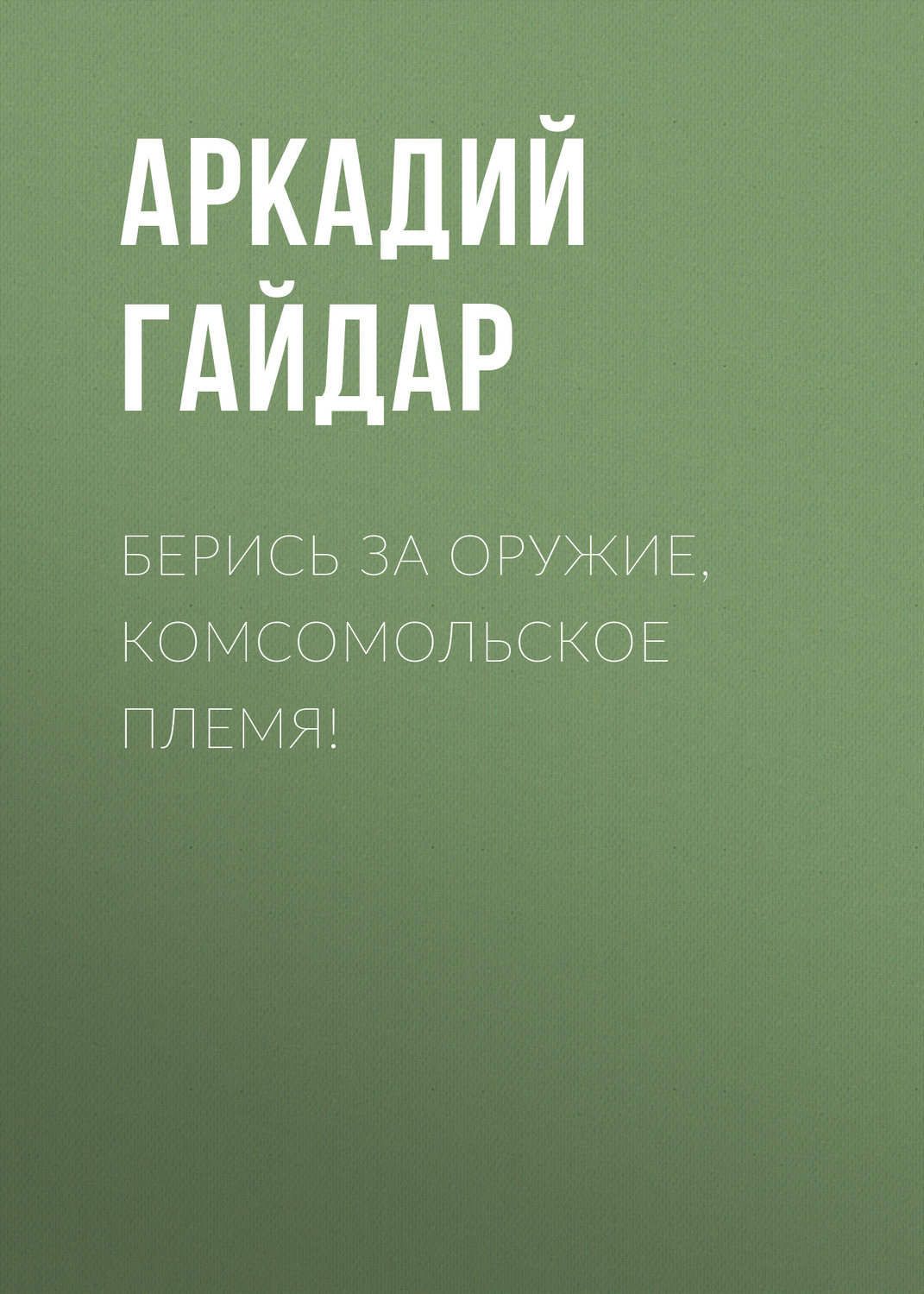 Обложка книги «Берись за оружие, комсомольское племя!»