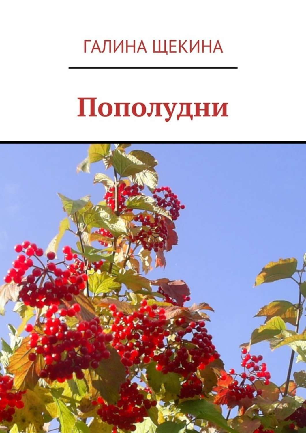 Обложка книги «Пополудни. Книга стихов»